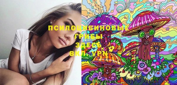 mdma Богданович