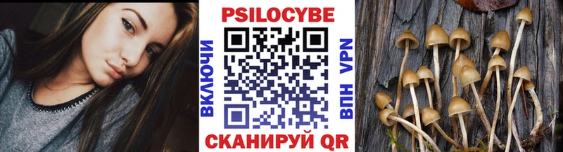 Галлюциногенные грибы Psilocybe  МЕГА зеркало  Гулькевичи 